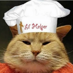 Cat with Chef Hat